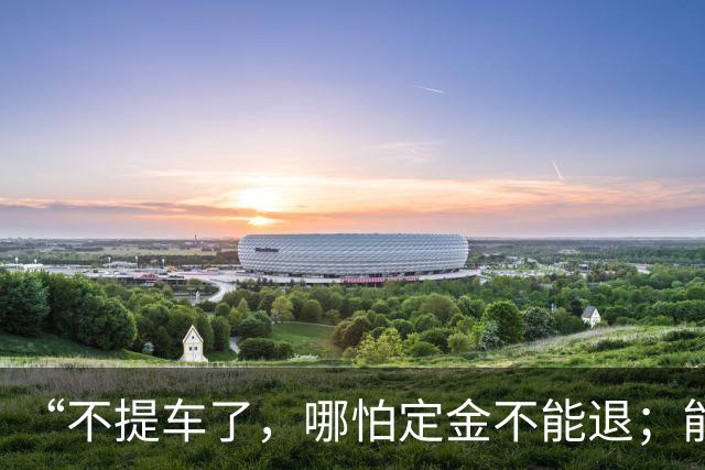 “不提车了，哪怕定金不能退；能把刹车踏板支架都踩断了，这是不可接受的；作为车主，基本的安全感丧失了”