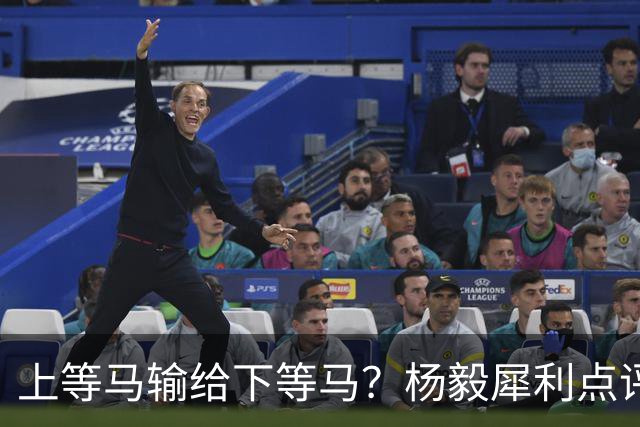 上等马输给下等马？杨毅犀利点评中国男篮：兵败名古屋之后，别找“二队”借口，我们需要的是清醒