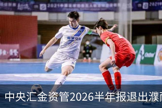 中央汇金资管2026半年报退出濮耐股份、瑞泰科技前十大股东名单！