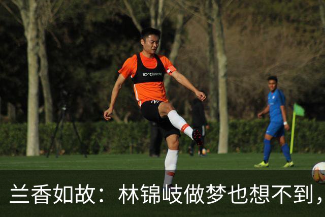 兰香如故：林锦岐做梦也想不到，救了秋葵，却成兰香的一道催命符