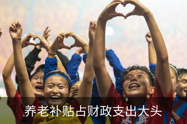 养老补贴占财政支出大头