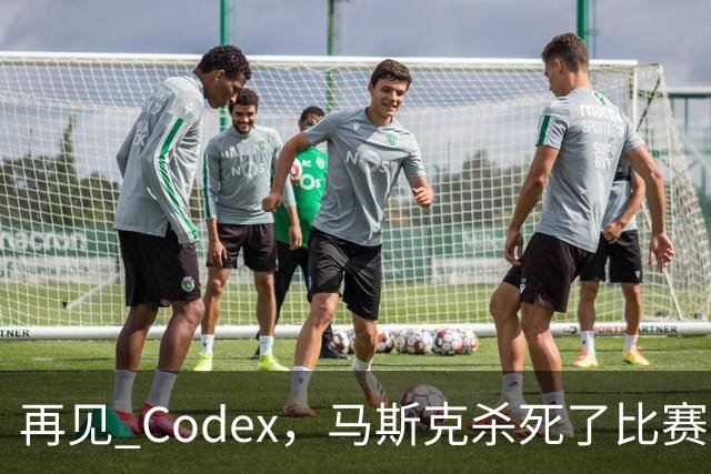 再见 Codex，马斯克杀死了比赛
