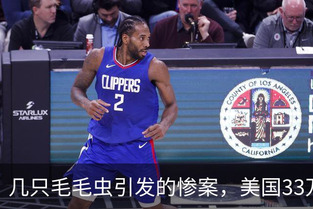 几只毛毛虫引发的惨案，美国33万平方公里、比英国还大的森林被啃光！