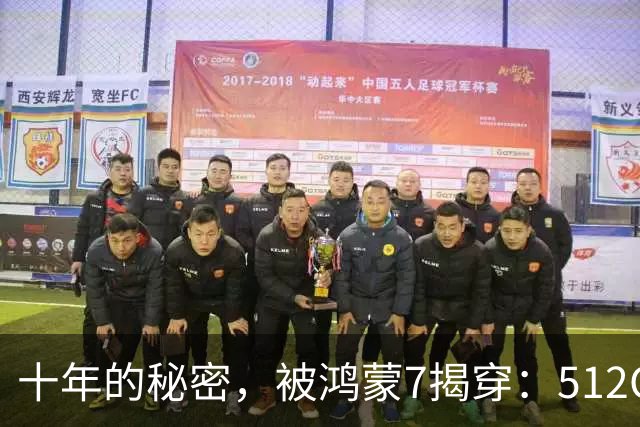 十年的秘密，被鸿蒙7揭穿：512GB，背后到底水分多深