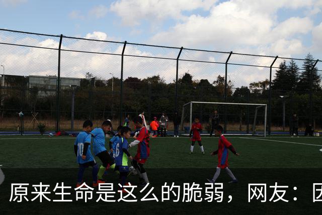 原来生命是这么的脆弱，网友：因为10天没有拉大便，结果人没了