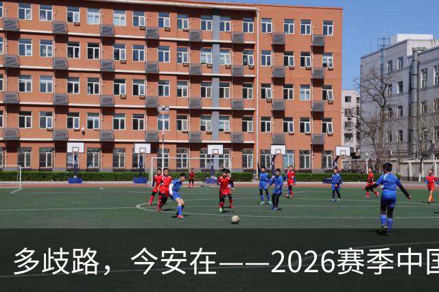 多歧路，今安在——2026赛季中国女排表现观感之四