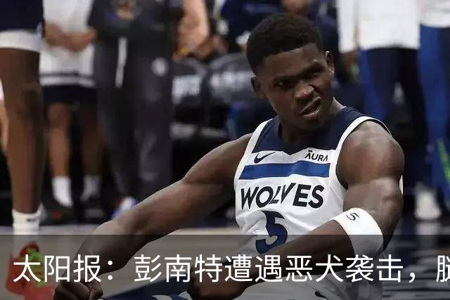 太阳报：彭南特遭遇恶犬袭击，腿部缝50余针，自家爱犬救主