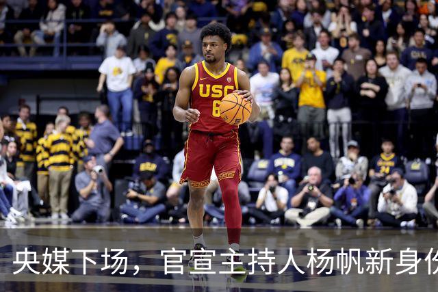 央媒下场，官宣主持人杨帆新身份，身患胃癌传闻早已经水落石出