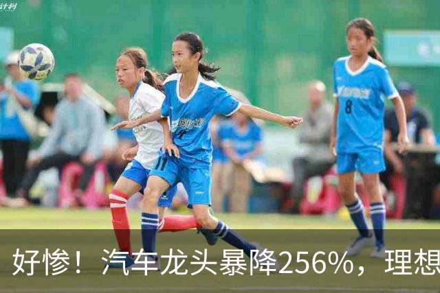 好惨！汽车龙头暴降256%，理想赛力斯小鹏全都亏损，汽车集体暴雷