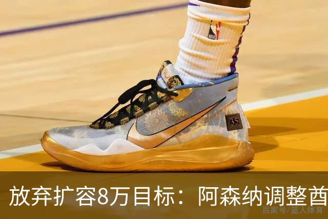 放弃扩容8万目标：阿森纳调整酋长球场改造方案，增设安全站立区