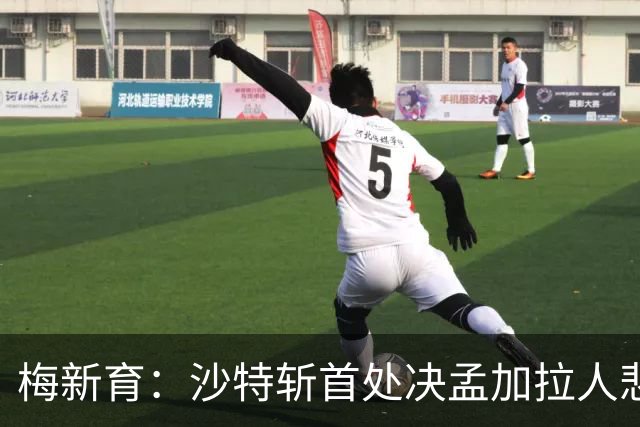 梅新育：沙特斩首处决孟加拉人悲剧与海外中国公民权益保护