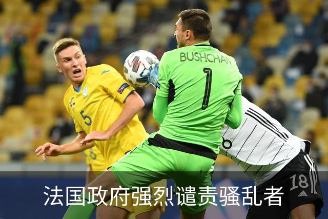 法国政府强烈谴责骚乱者