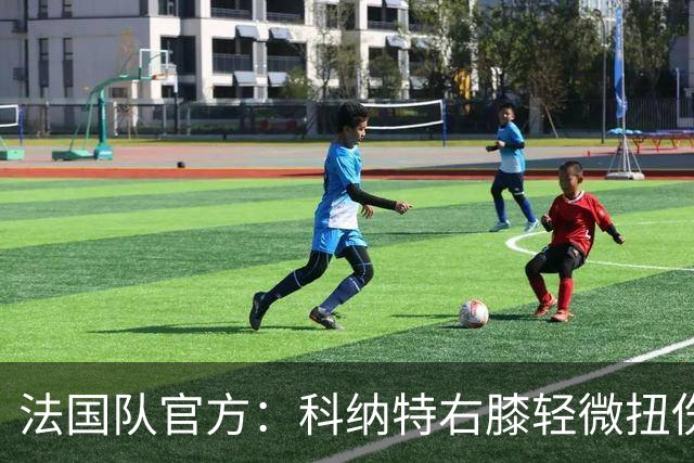 法国队官方：科纳特右膝轻微扭伤退出本期名单，约罗入替
