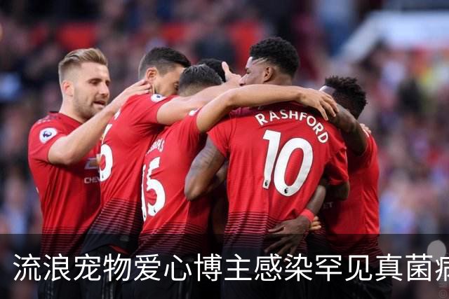流浪宠物爱心博主感染罕见真菌病逝，年仅27岁，丈夫：妻子在ICU抢救了22天，她随时带着猫狗粮，走到哪里看到流浪猫狗都会喂
