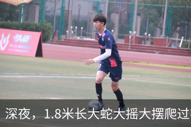 深夜，1.8米长大蛇大摇大摆爬过客厅！浙江男子翻看家中监控吓出一身冷汗：蛇还在家里……