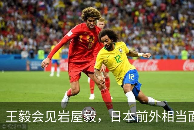王毅会见岩屋毅，日本前外相当面表态，高市早苗被架在火上烤