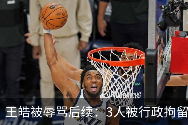 王皓被辱骂后续：3人被行政拘留，身份曝光，原来都是同一类人