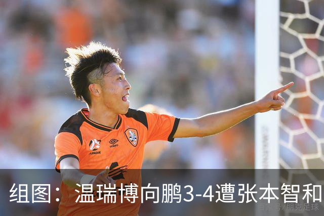 组图：温瑞博/向鹏3-4遭张本智和组合逆转 表情失落