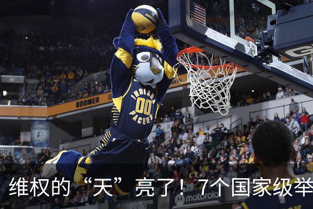 维权的“天”亮了！7个国家级举报平台，提交后地方必须依规办理