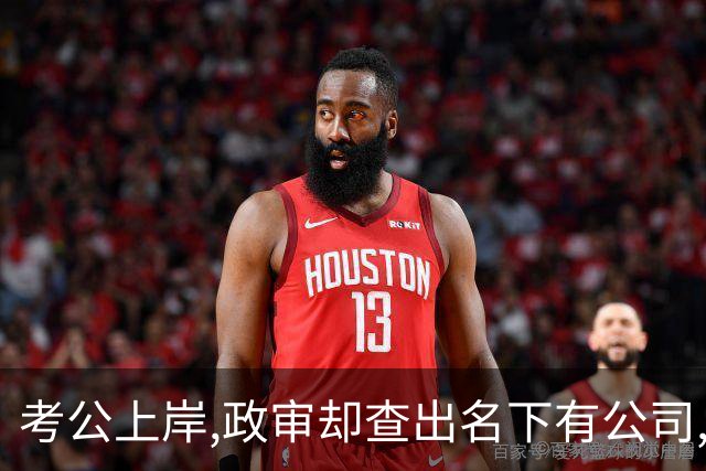 考公上岸,政审却查出名下有公司,我没闹,直接用法人身份拆了公司