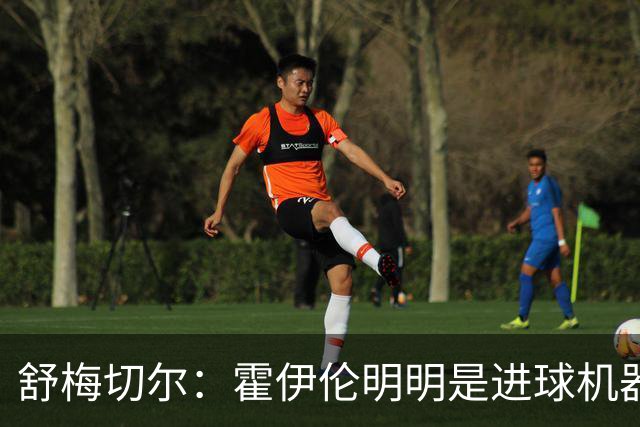 舒梅切尔：霍伊伦明明是进球机器，维韦尔来了偏要换成谢什科
