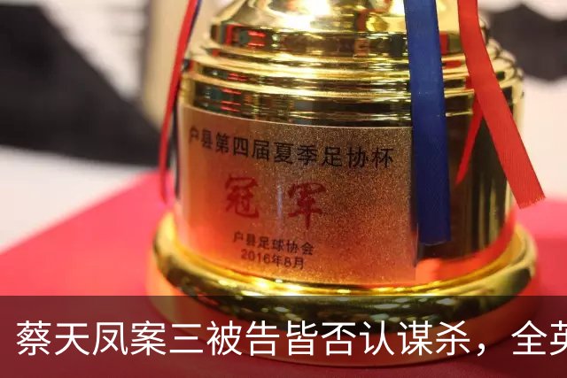 蔡天凤案三被告皆否认谋杀，全英语审理，揭秘法庭遴选7男2女陪审团过程