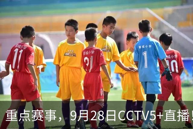 重点赛事，9月28日CCTV5+直播！乒乓球时间赛程表