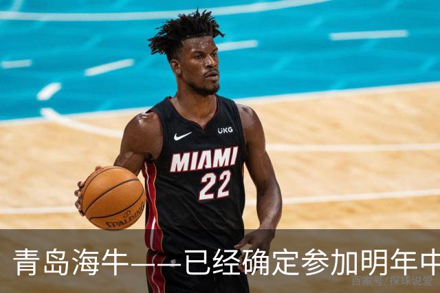 青岛海牛——已经确定参加明年中甲的球队