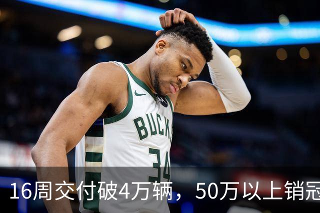 16周交付破4万辆，50万以上销冠又被它拿走了