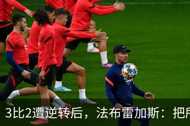3比2遭逆转后，法布雷加斯：把所有错误都算在我头上