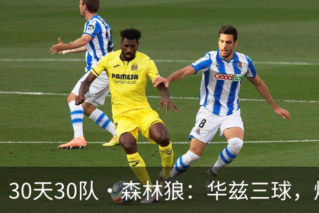 30天30队·森林狼：华兹三球，燃情奔狼