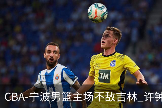 CBA-宁波男篮主场不敌吉林 许钟豪场边指挥